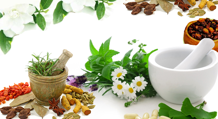 Herbal Medicinal Products Market,Herbal Products Industries,Small Scale